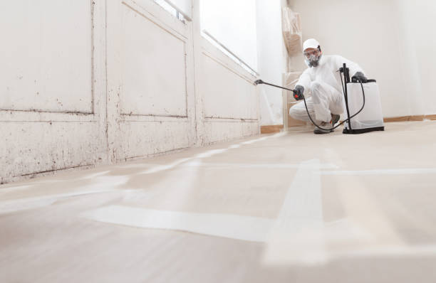 24/7 Emergency Mold Remediation experts in Bloomfield, NY
